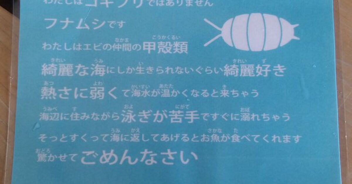 海辺の旅館にあったフナムシの自己紹介文がなんだか切なすぎてもう これは泣いちゃう でも無理 Togetter