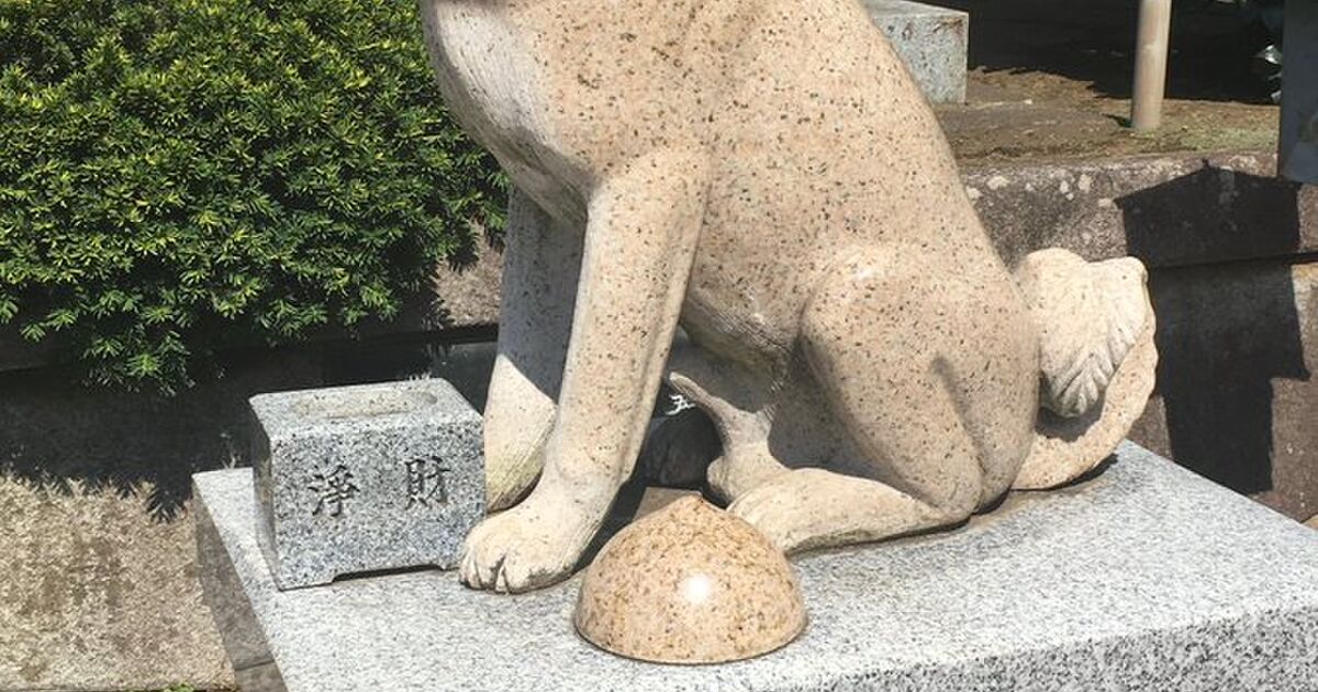 茨城のお寺にある 柴犬の狛犬 あまりにもかわいすぎて話題 これはお賽銭入れてしまう Togetter