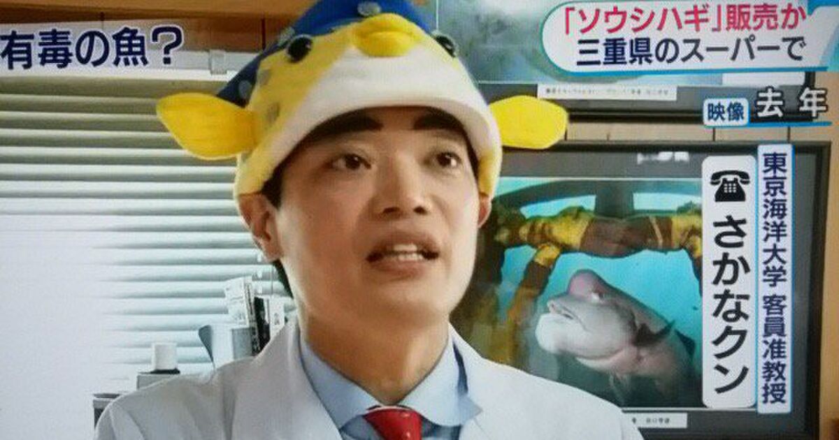 ソウシハギ誤販売の件で朝のnhkニュースが この魚についてさかなクンに聞いてみると と公式データベース扱い すごい 有識者だから Togetter