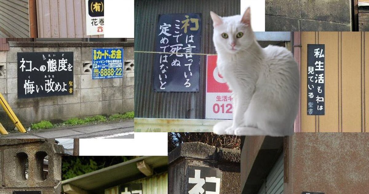 ネコと和解せよ 猫様のありがたいお言葉を伝える看板を集めた画像に信者が集う ﾈｺは心を見る Togetter