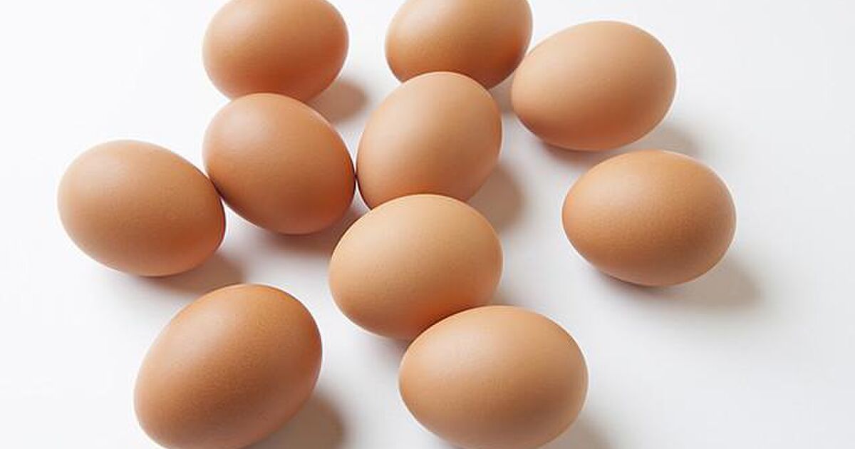 板東英二はゆでたまごのせいで常にムラムラしていることが判明 Togetter