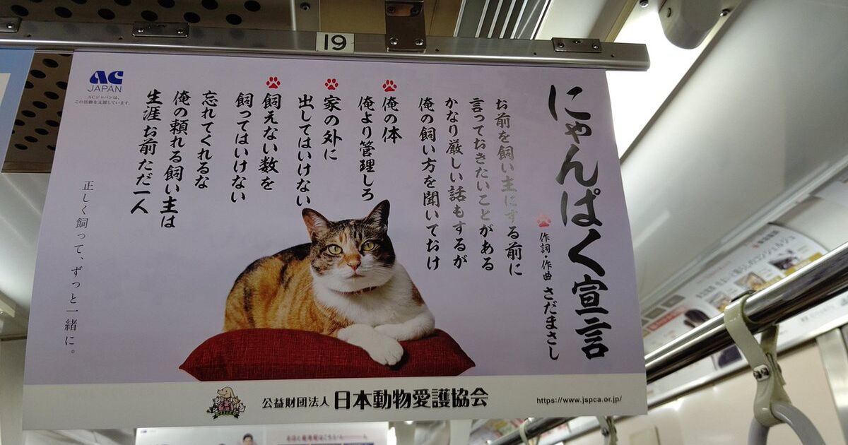 外飼いは猫が加害した時のことも考えて 飼い猫が隣の家の飼い鳥を狩ってしまった時の話 様々な意見や体験談も Togetter