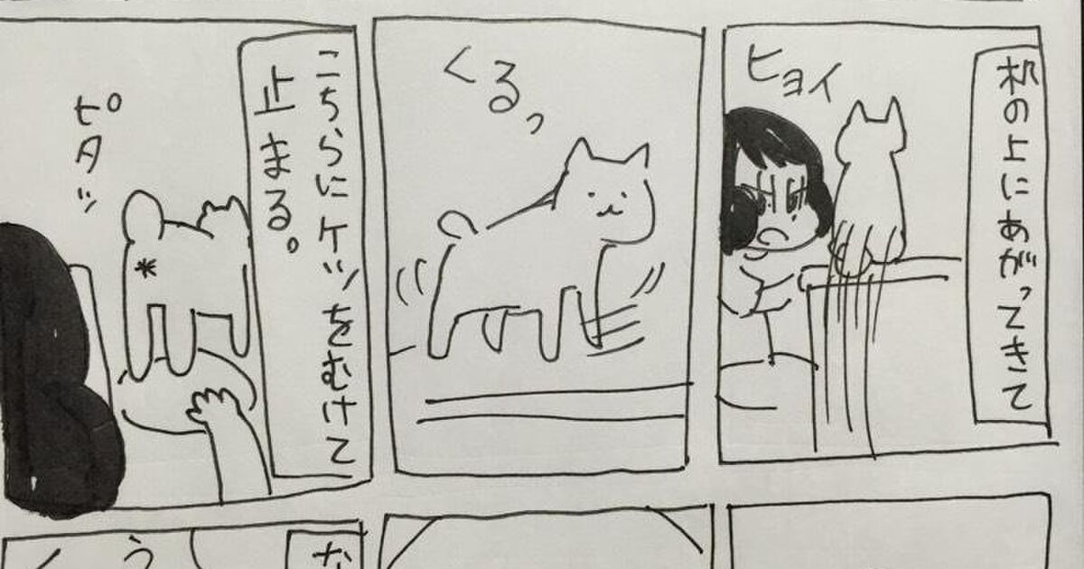 猫がいきなりお尻をアピールしてくる漫画に笑いと賛同の声 でもアレってどういう意味なの Togetter