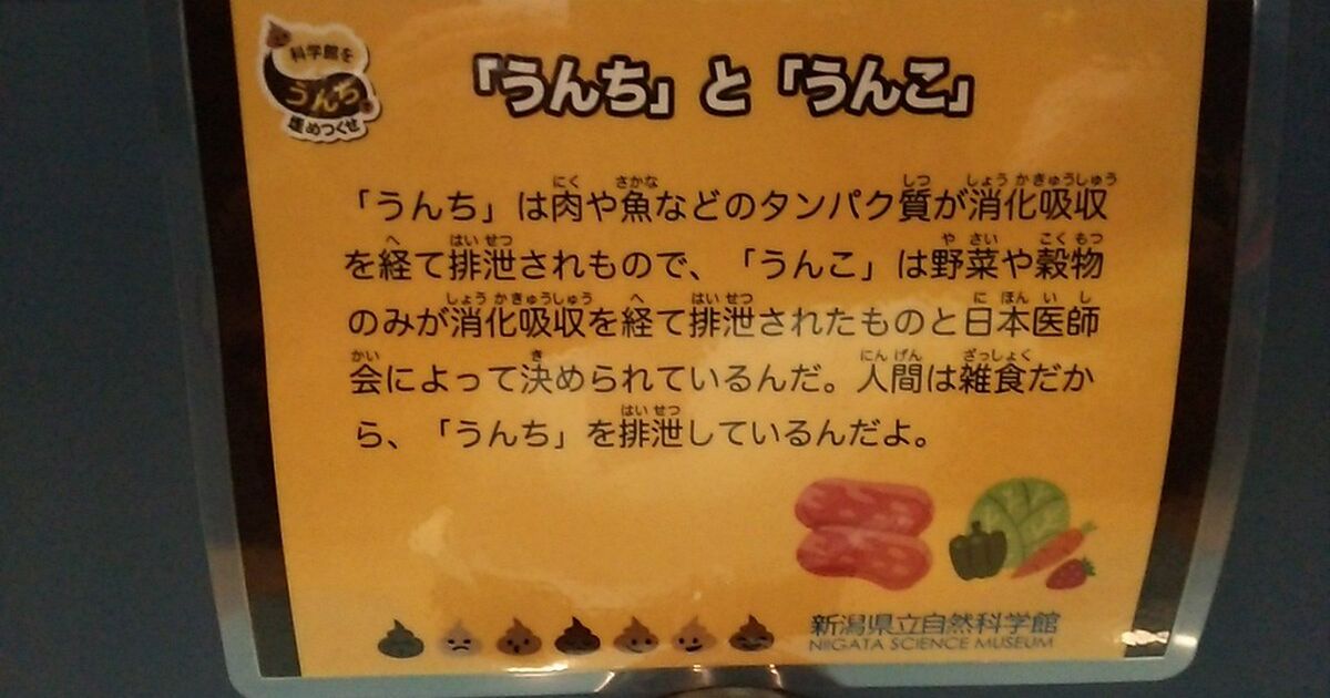 医師 会 うんち 日本 うんこ 違い と の