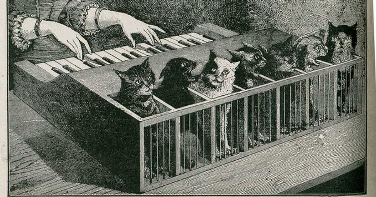 大昔にあったらしいふさぎ込んでいる人に見せるとたいがいの悩みはどうでもよくなる 猫ピアノ に 欲しい との声集まる Togetter