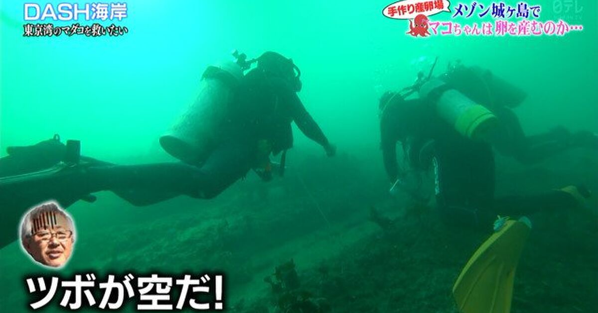 ウツボってこんなことになるの ウツボならではの休み方 がなんともいえないシュール感 かわいい 大丈夫かな Togetter