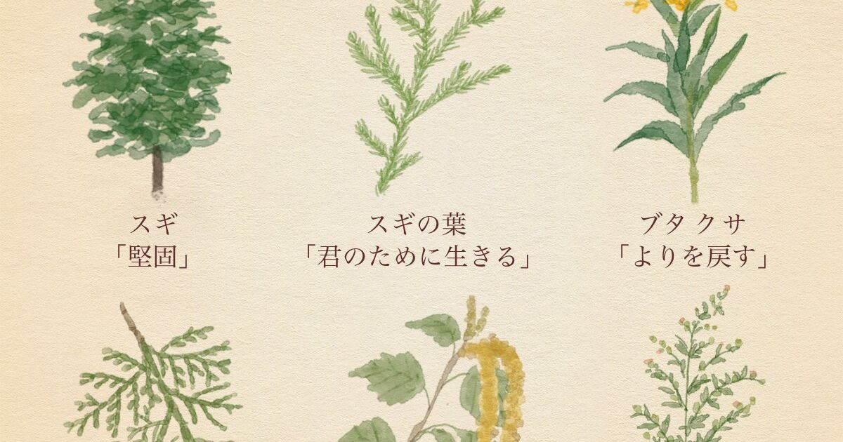 花粉症を引き起こす植物たちの花言葉がヤンデレすぎて一生離さないという確固たる信念を感じる あっちいけ 別れて Togetter