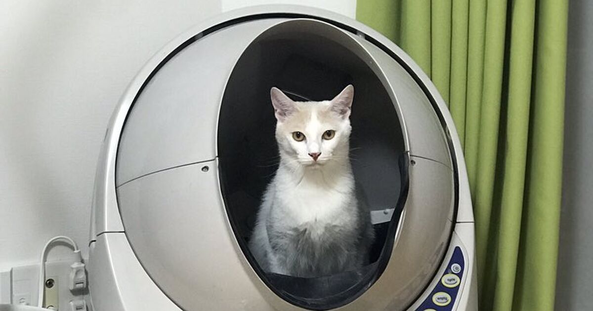 サンシャイン池崎さんの猫さんが 宇宙に旅立ちます的な顔 で使ってる宇宙船みたいなトイレがハイテク うちの猫も使ってます と画像も集まる Togetter