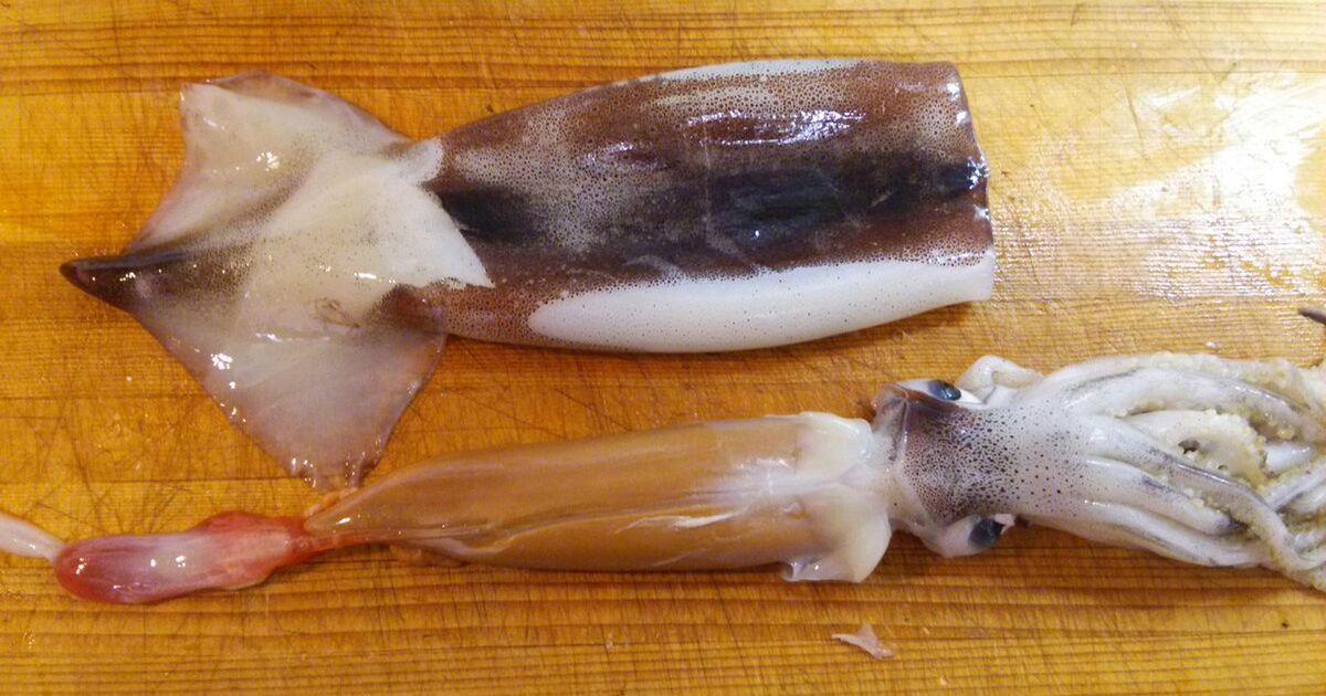 食欲の秋 魚に寄生している アニサキス による食中毒にご注意を Togetter