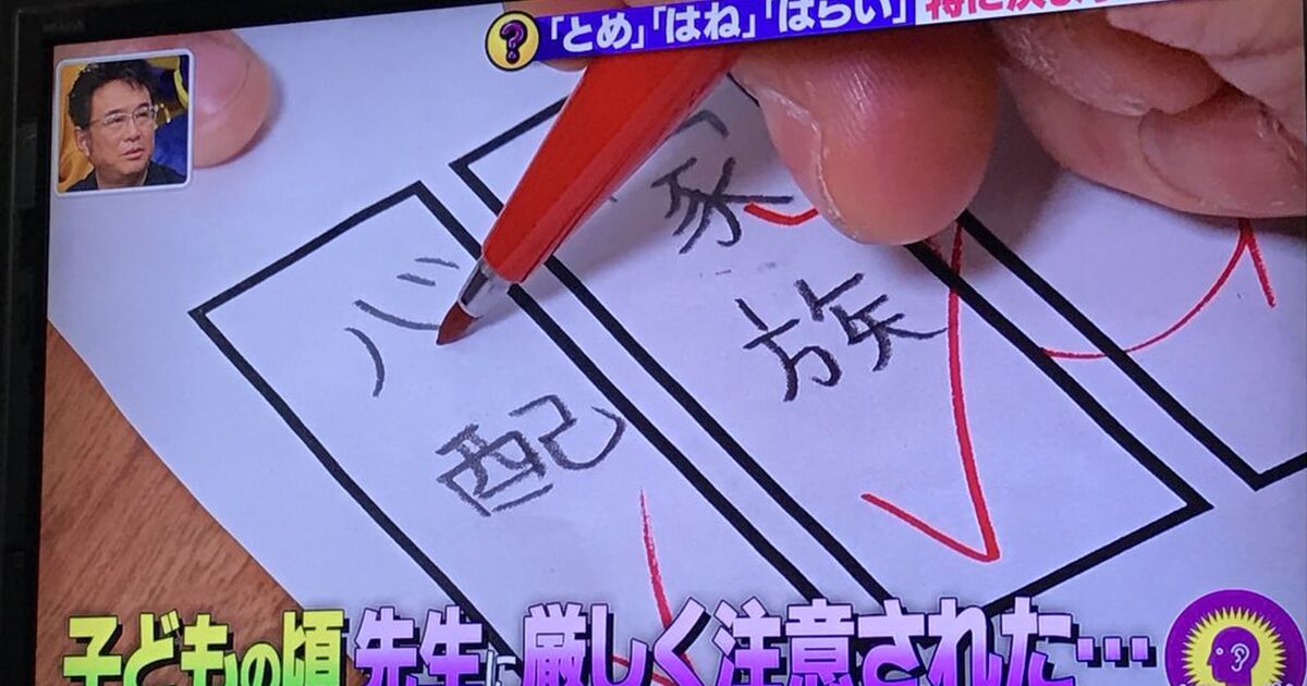 漢字を書く時の「とめ」「はね」「はらい」には特に決まりがなく文字として認識できれば良い…よって漢字テストなどで×を
