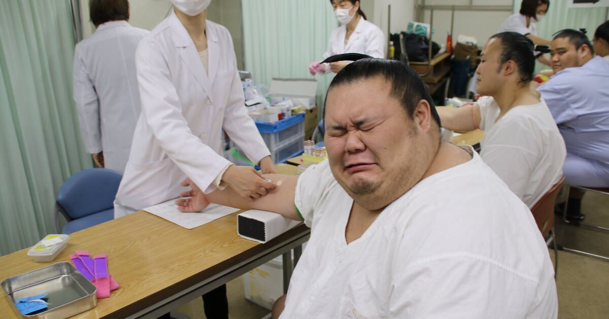 日本相撲協会の健康診断 かわいい Togetter
