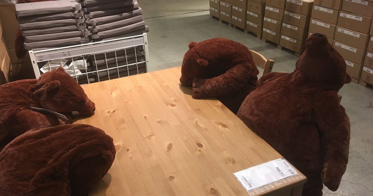 Ikeaのサメ が話題ですが ここで オール後のマックみたい なikeaのクマを御覧ください Togetter