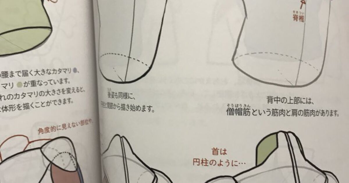 絵描きさんにオススメ 難しそうな美術解剖学をかみ砕いて 人体の構造や顔のパーツなどがめちゃわかりやすくまとまった本が話題に Togetter