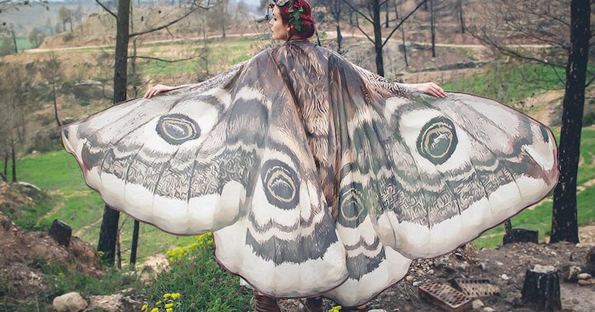 蝶の羽柄のマントが綺麗 どう見てもアレにしか見えない人達 Togetter