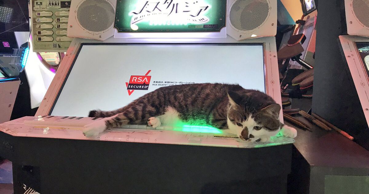 音ゲー筐体の上でダラダラする猫さん ノスタルジアならぬモフタルジア これが新しい音ゲーか Togetter