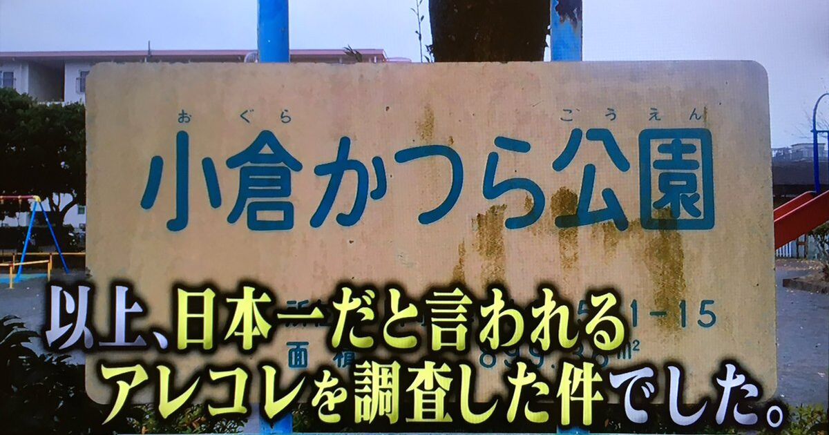 月曜から夜ふかしは小倉かつら公園が紹介される Togetter