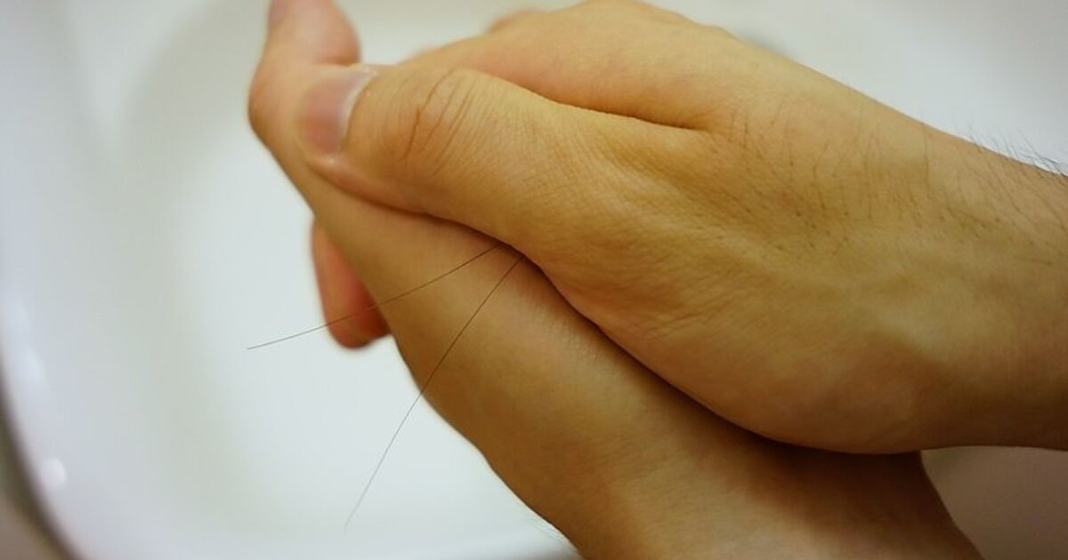 髪の毛 を2本使った悪質すぎる遊びが発表されザワつく人々 こんな事されたら縁を切る 下手したらリアルファイト Togetter