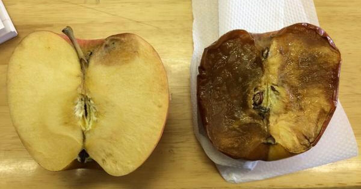 リンゴに罵声を浴びせ続けるのときれいな言葉をかけ続けるのでは腐敗のスピードが変わるって本当 インチキな話に聞こえるが科学的だった Togetter