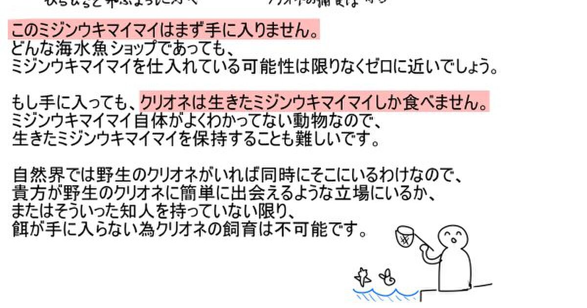 B 生物 クリオネは素人が簡単に飼育できる生き物ではなかった 餌が入手困難な為 餓死するまで観察する以外の方法がない Togetter