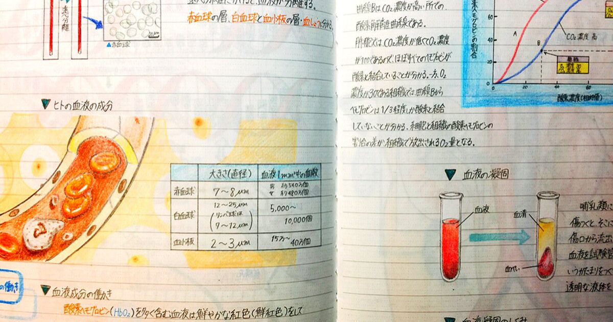 当時高1の少年がまとめた生物基礎のノートのクオリティがやばい 手描き教科書だ 無駄すぎワロタ Togetter