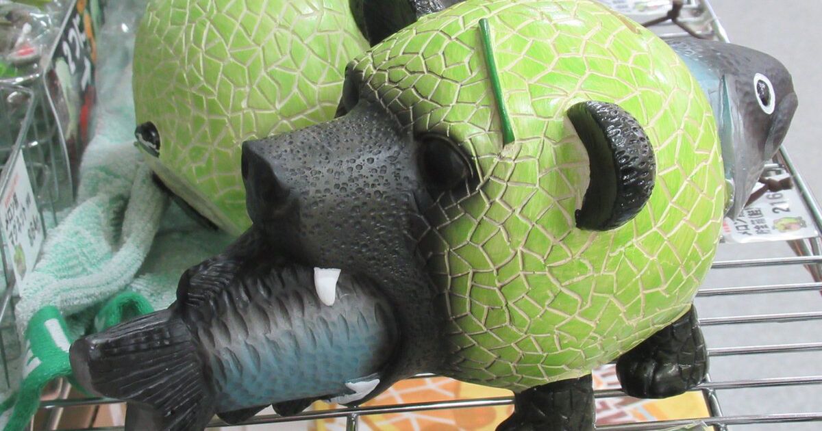 ただでさえ怖い メロン熊 が知らない間にシャケと悪魔合体して悪夢のようなモンスターが誕生していたらしい これは生態系を具現化したアートなのでは Togetter