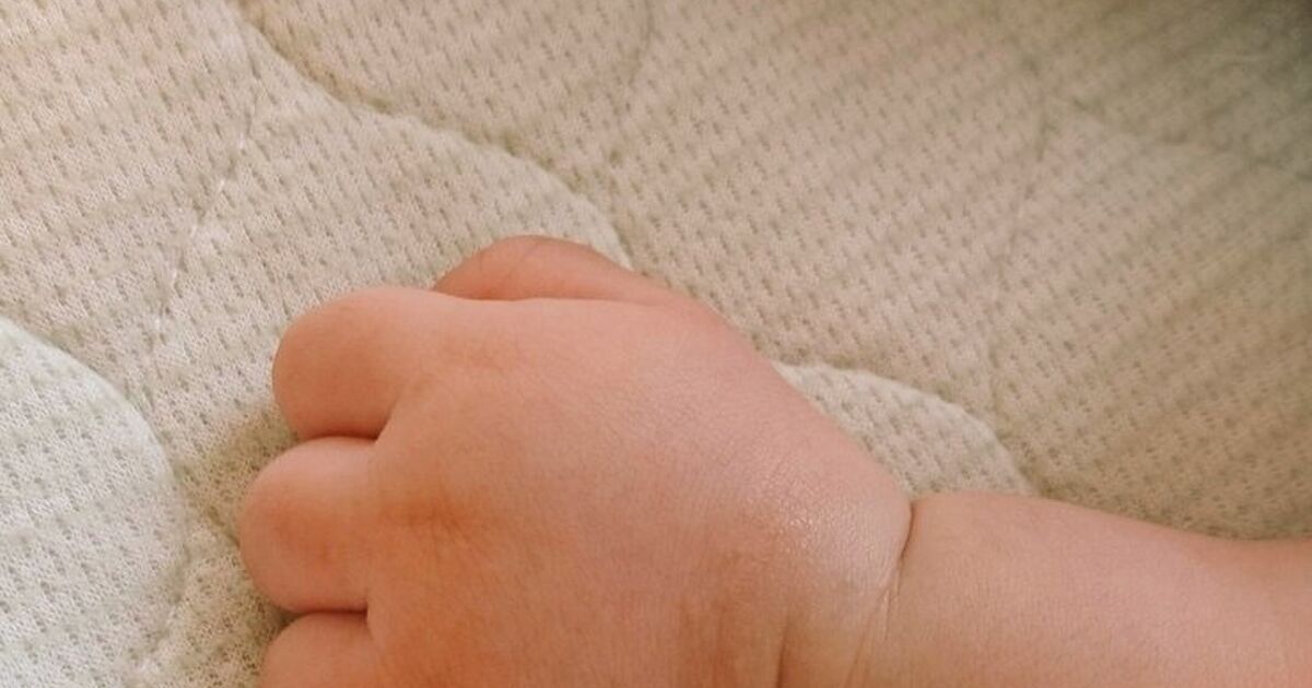 急募 クリームパンおてて 集まった幸せ画像の数々と名ソムリエによる多彩な表現をお楽しみください Togetter