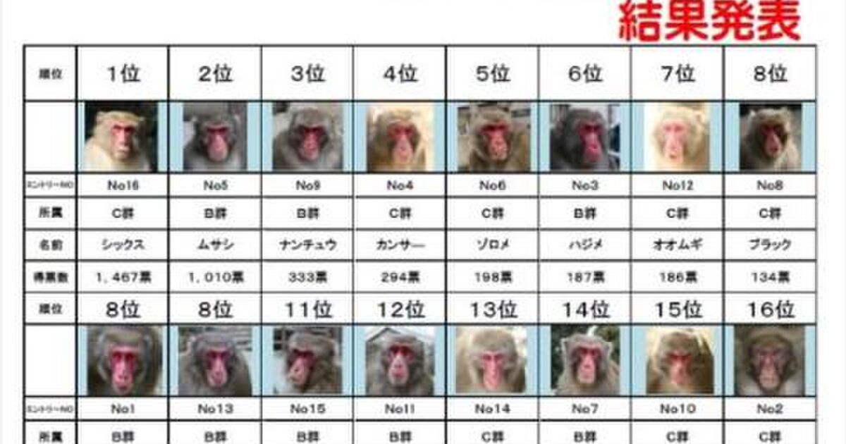 カンジ ボノボ ※高い知能を持つ類人猿「ボノボ」！人間でいうと何歳レベル？