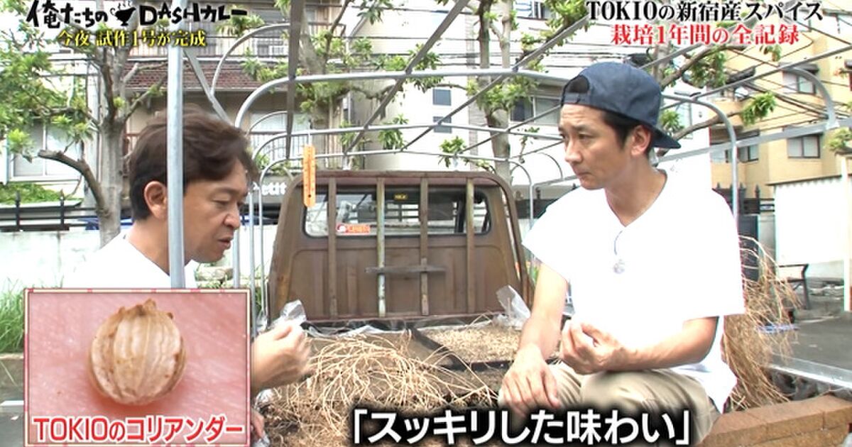 Tokioが移動式インドで栽培したクミンとコリアンダーをプロが試食 市販の物より美味しい ぜひハウス食品でも使いたい 鉄腕dash Togetter