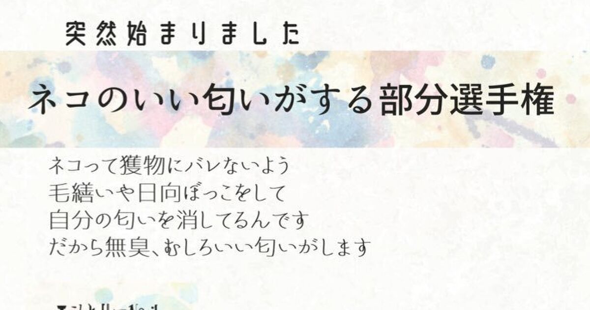 ネコのいい匂いがする部分選手権 開催 ソムリエばりの講評が秀逸すぎる トゥギャッチ