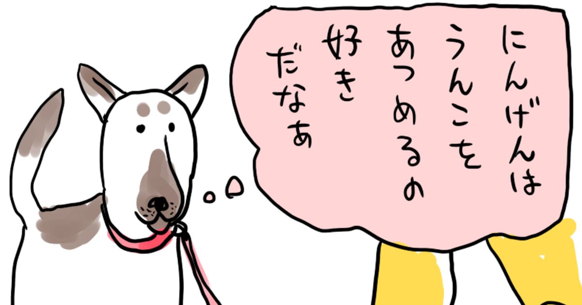 にんげんはう こを集めるの好きだなぁ 飼い主さんの行動を誤解してそうな犬さんを見かけた あの行動はそういうことか と納得 Togetter