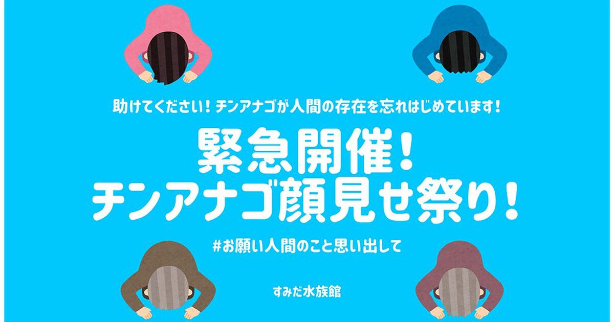 すみだ水族館から緊急のお願い チンアナゴが人間の存在を忘れているので 家からあなたの顔を見せて お願い人間のこと思い出して Togetter