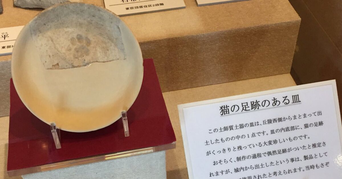 戦国時代に愛用されていた ねこの足跡つきの皿 がニャンともかわいらしい トゥギャッチ