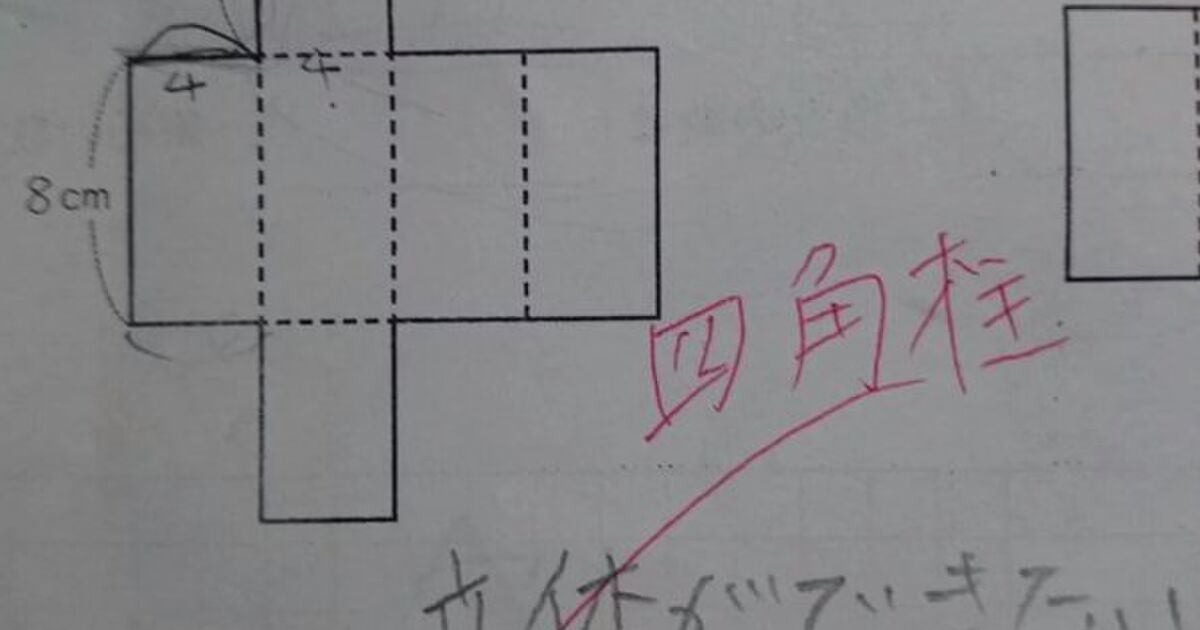 この展開図を組み立てると立体になる 小学校の算数でtwitter民が大激論 トゥギャッチ