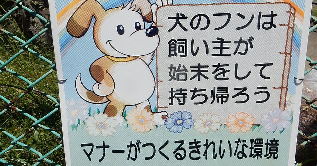 個人的まとめ 犬の看板 Togetter
