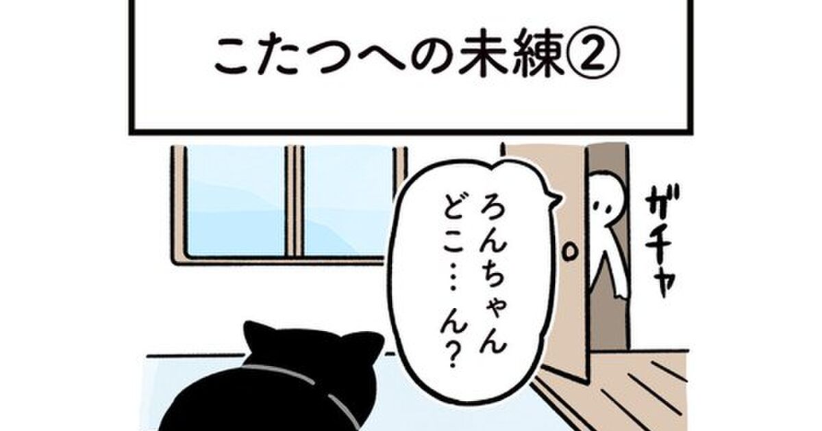 黒猫のろんさん こたつ撤去により最高のお昼寝スポットを失ってしょんぼり こたつ布団は7月位まで片付けさせてもらえませんでした Togetter