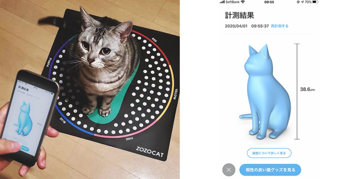 4月1日）3Dで猫型を計測できる『ZOZOCAT』リリース！→猫さんが 