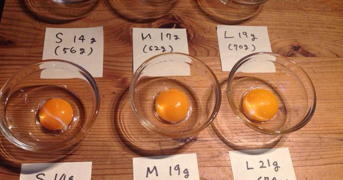 卵のルールは本当？卵と黄身の大きさの関係を実際に検証 Togetter