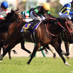 過去いち可愛い名前の馬 ハシルヨミテテが話題に 実況でニッコリしそう 他にもおもろい馬の珍名が続々と発掘される Togetter