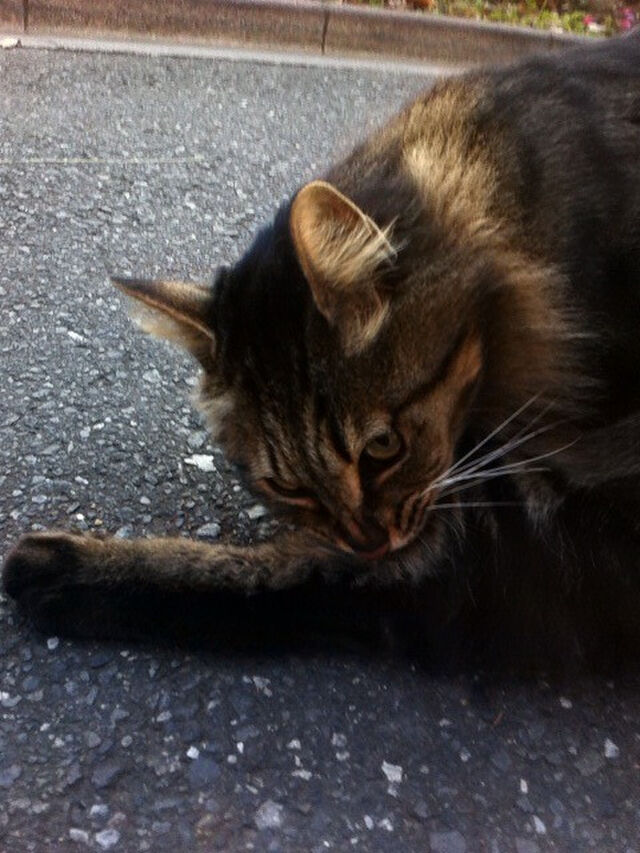 山口貴由仕事場レポ 2ページ目 Togetter