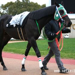 過去いち可愛い名前の馬 ハシルヨミテテが話題に 実況でニッコリしそう 他にもおもろい馬の珍名が続々と発掘される 2ページ目 Togetter