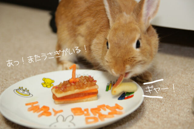 動物画像無料 ぜいたくうさぎ 用 ケーキ