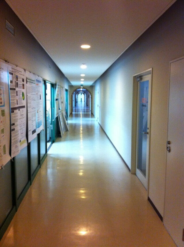 渡邊芳之先生ynabe39の「大学をいじるよりむしろ専門学校の高度化整備で「大学に行かないエリートコース」を確立したほうがよほど「教育システム