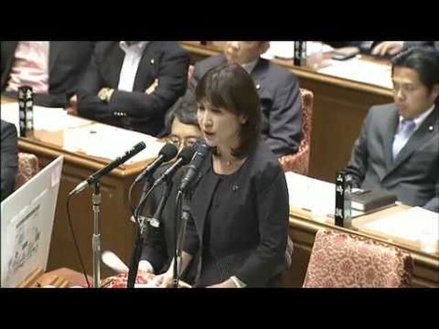 国会 H24 06 12 自民党 稲田朋美 平沢勝栄 無双 スパイ問題火達磨野田政権 Togetter