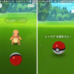 新聞に掲載されたポケモンgoの捕獲画面が意図的過ぎるのではと話題に エアプとプレイヤーの違いがよく出るよね Togetter