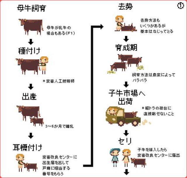 去勢は基本ねじってとる かわいいドット絵で屠殺を描いた 牛肉を食べるまでのフロー が考えさせられる Togetter