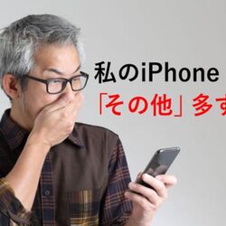 誰か住んでるだろってくらいiPhoneの「システムデータ」が容量喰ってる 