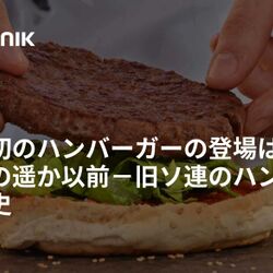 ソ連で出版された『おいしくて健康的な食事の本』にはディス