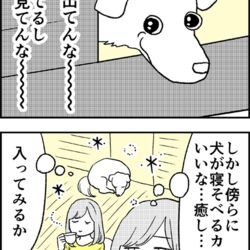 近所の犬がいるカフェで癒やされようとした結果」を描いた漫画