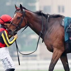 大きな感動をありがとう」 天に召されたリバティアイランドに中