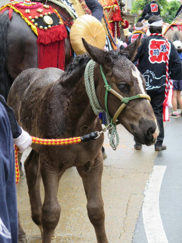 チャグチャグ馬コ